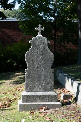_Z609588.jpg