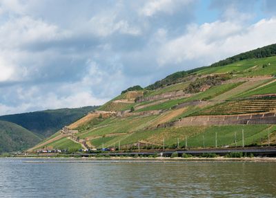 Rhine River