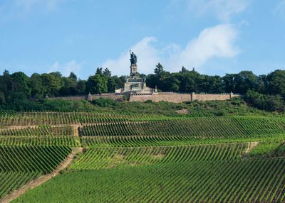 Rhine River