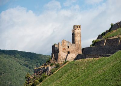 Rhine River Ehrenfels Castle