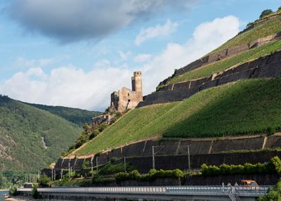 Rhine River Ehrenfels Castle