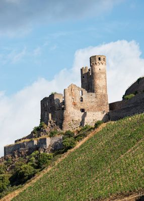 Rhine River Ehrenfels Castle