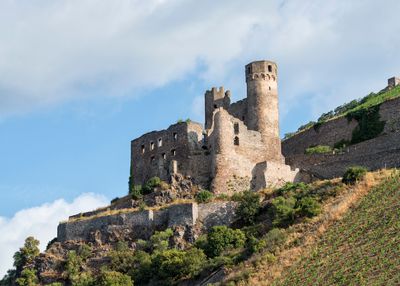 Rhine River Ehrenfels Castle