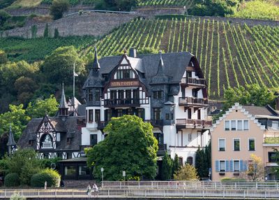 Rhine River - Assmannhauser Hollenberg