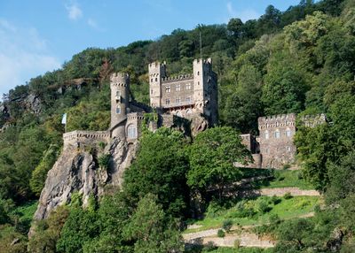 Rhine River - Rheinstein Castle