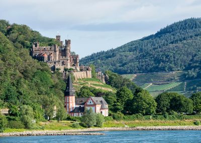 Rhine River - Reichenstein Castle