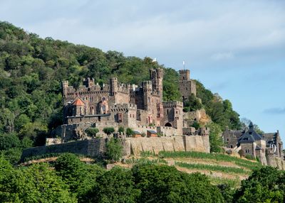 Rhine River - Reichenstein Castle