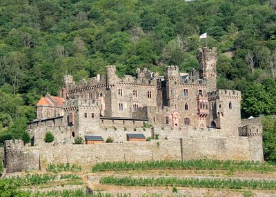Rhine River - Reichenstein Castle