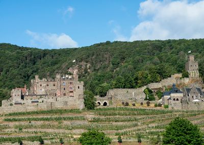 Rhine River - Reichenstein Castle