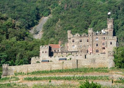 2Rhine River - Reichenstein Castle