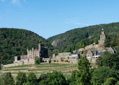 2Rhine River - Reichenstein Castle
