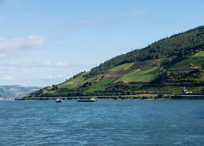 Rhine River