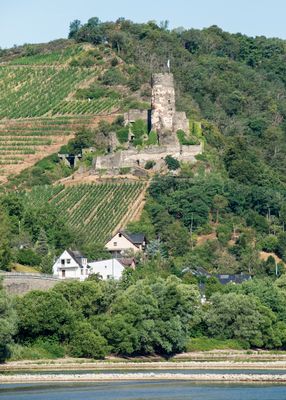 Rhine River