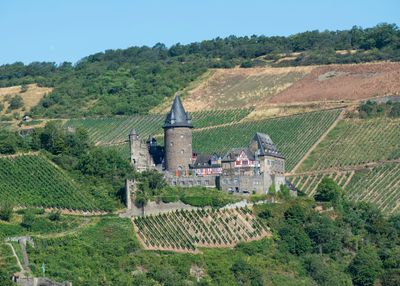 Rhine River Stahleck Castle