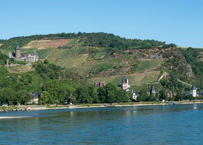 Rhine River Stahleck Castle