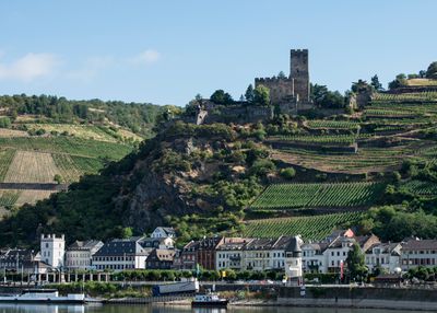 Rhine River - Gutenfels Castle
