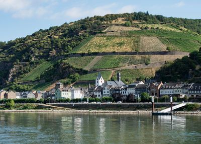 Rhine River