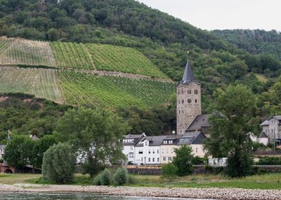 Rhine River