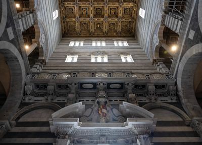Pisa