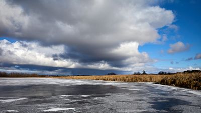 g13/35/840335/3/175089195.f9aff5be.JPEG
