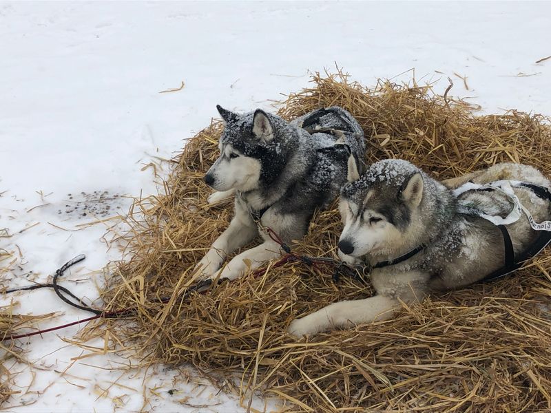 happy pair on straw