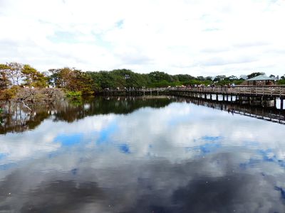2025-01-26 Wakodahatchee