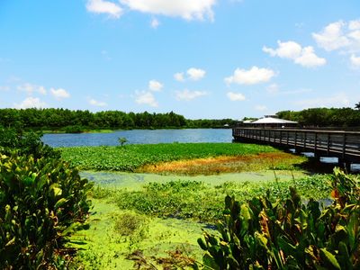 2025-05-26 Green Cay