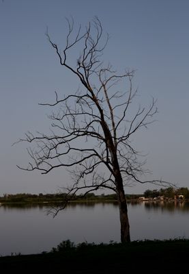 IMG_4004.jpg