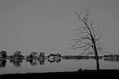 IMG_4008.jpg