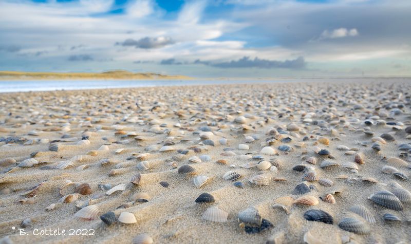 Texel December 26th-29th 2022