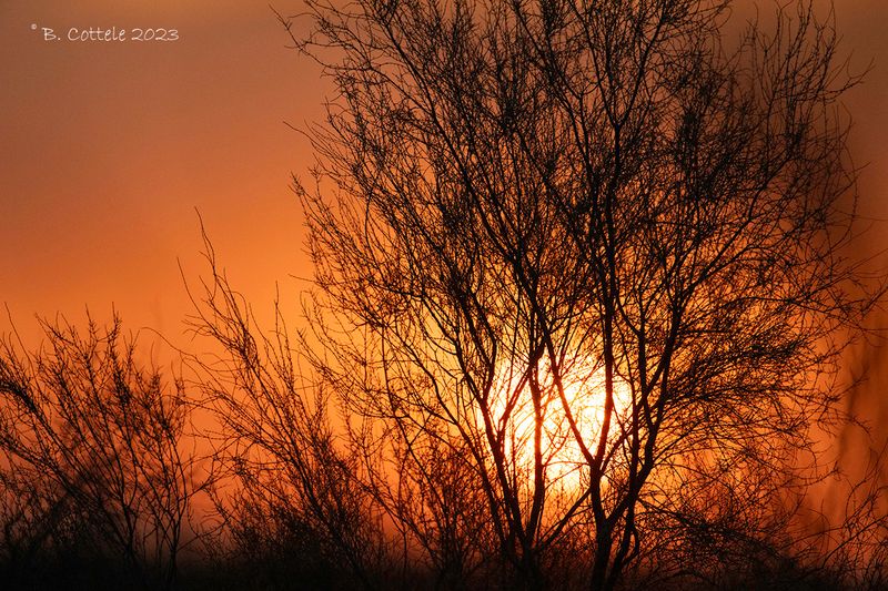 Zonsopkomst - Sunrise