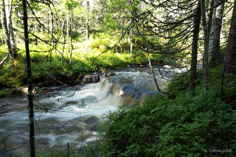 Bergrivier - Mountain river