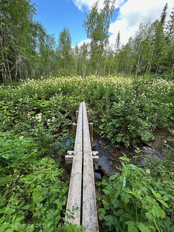Acksjon naturreservat 