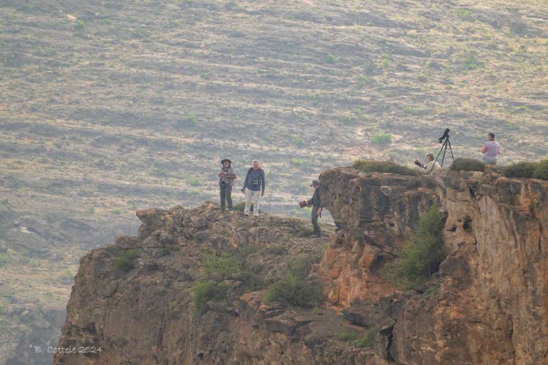 Searching for the Verreaux' Eagle