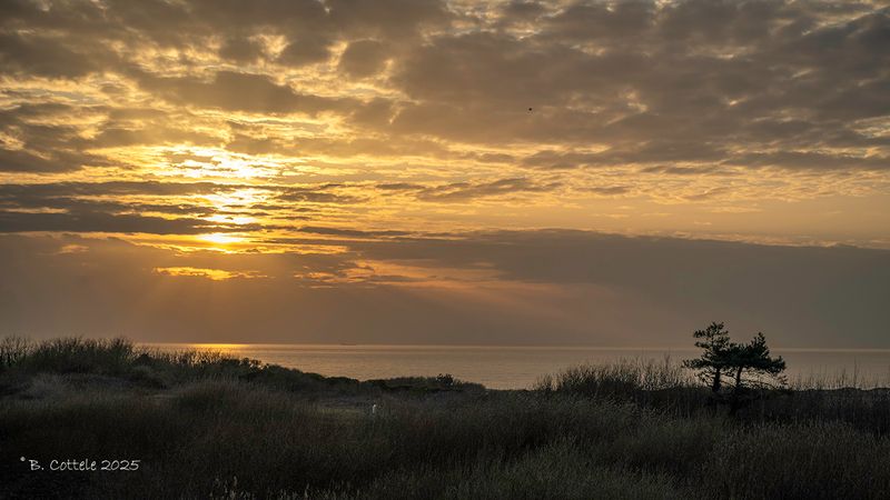 Zonsondergang - Sunset