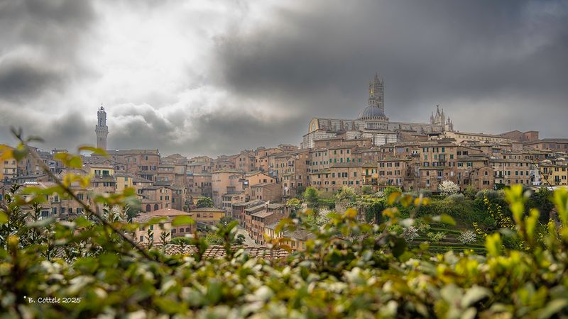 Siena