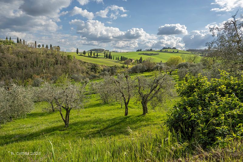 Monticchiello