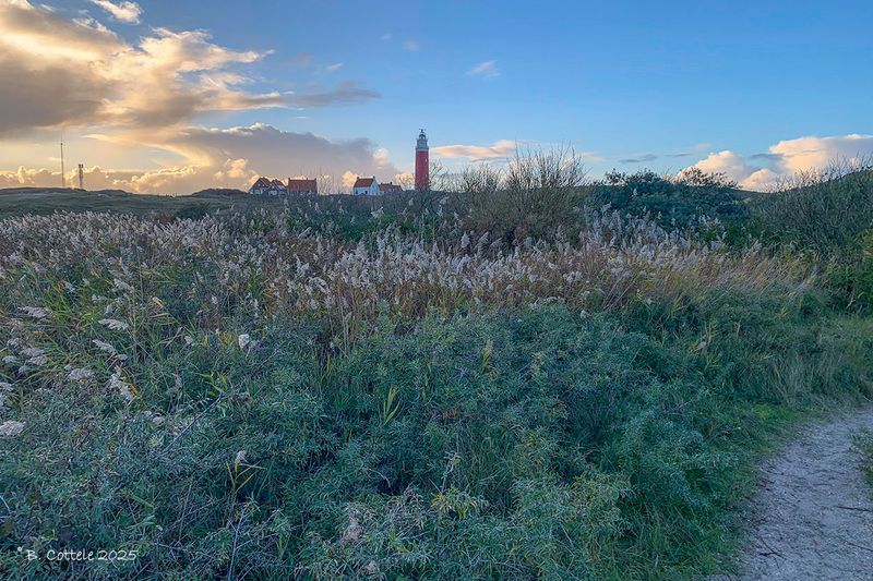 Vuurtoren - Lighthouse