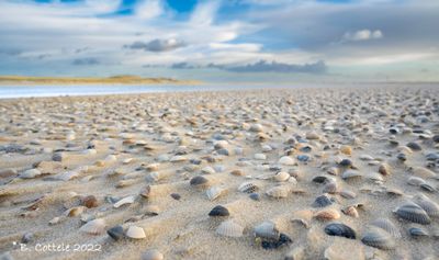 Schelpenstrand - Shell beach