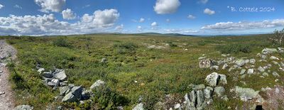 Hoogvlakte - Plateau