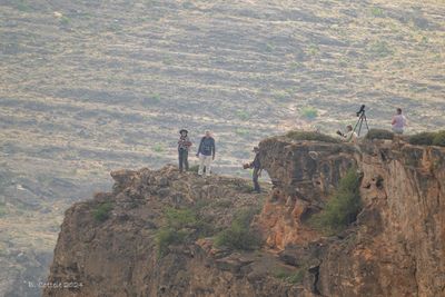 Searching for the Verreaux' Eagle