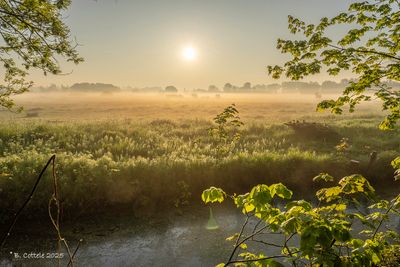 Landscapes