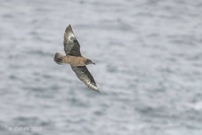 From Belgium to the Faroe Islands August 5th - 19th 2025