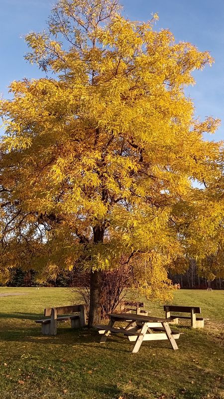Automne_20022