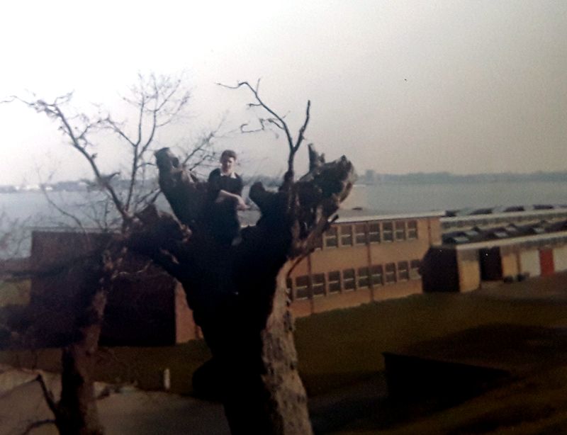 1972, 15TH FEBRUARY - COLIN HOLMES, RODNEY DIVISION, UP A TREE WITH ENRIGHT BLOCK BEHIND.jpg