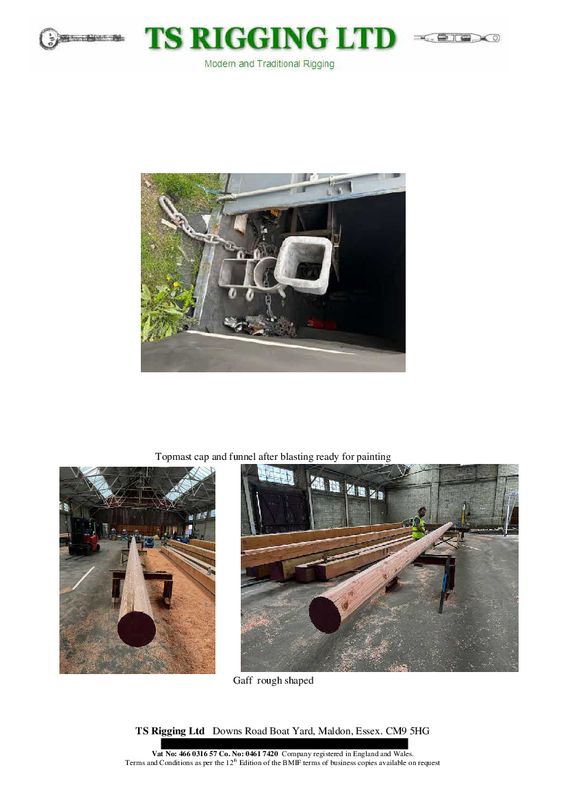 MAST REINSTATED 04.jpg