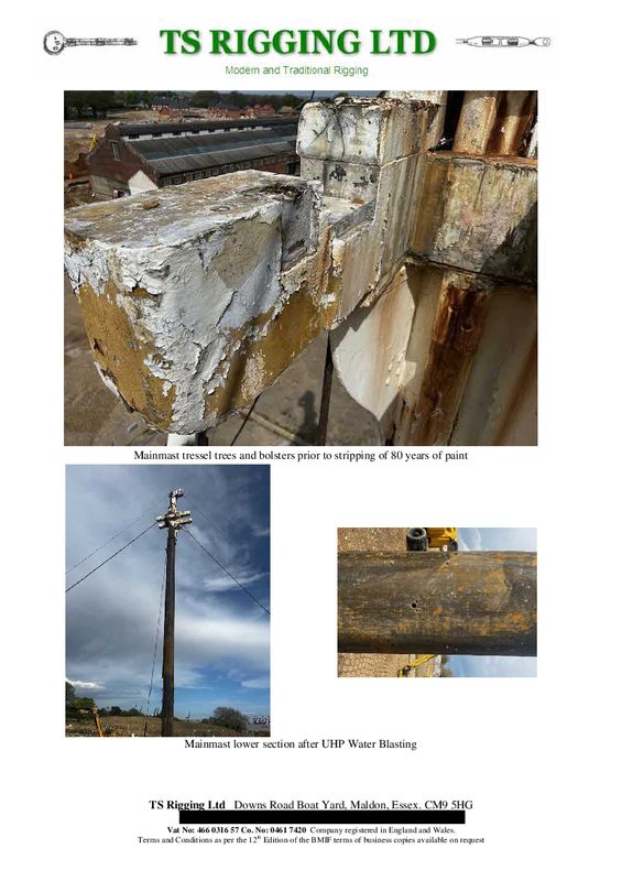 MAST REINSTATED 14.jpg