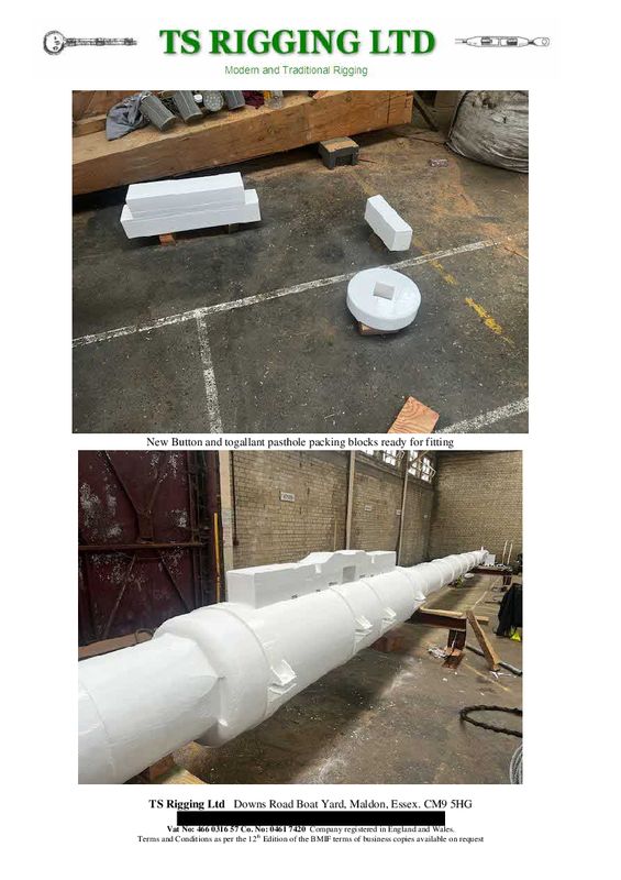 MAST REINSTATED 15.jpg