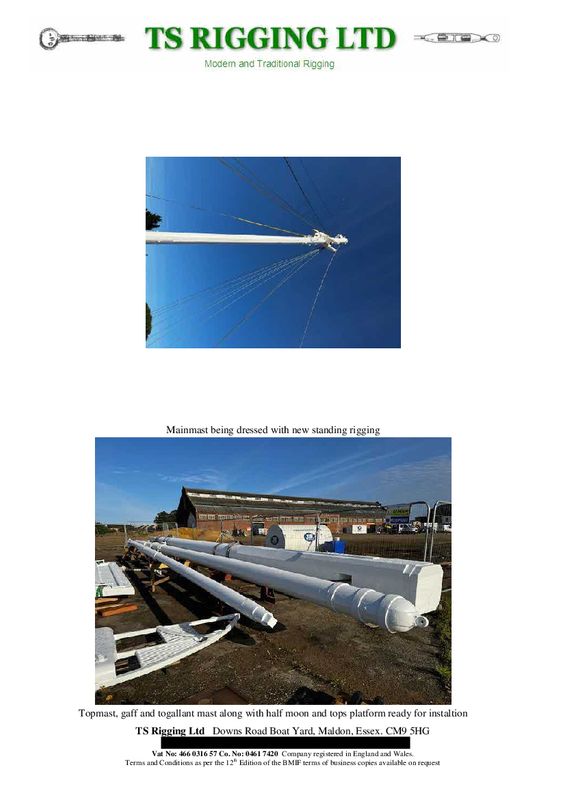 MAST REINSTATED 19.jpg