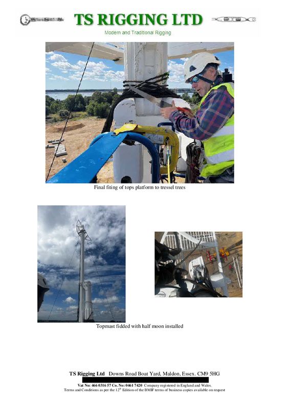 MAST REINSTATED 20.jpg